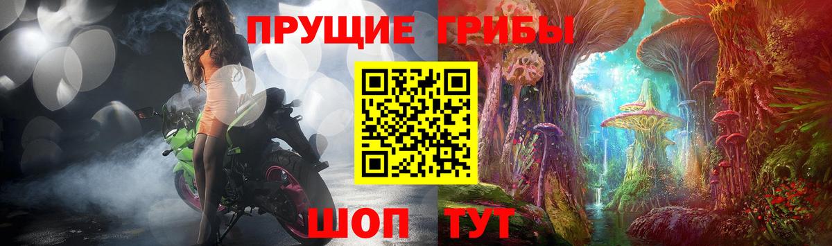 Галлюциногенные грибы Magic Shrooms Тихвин